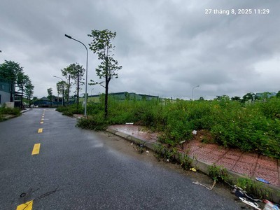 Đất đấu giá tổ 4, quang minh, 125m2, mt7m, 7.5 tỷ, mê linh. 1