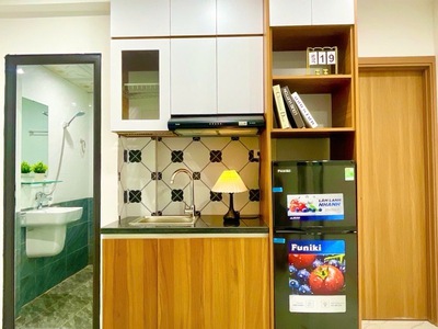 Chính chủ bán căn ccmn 100m, 7 tầng thang máy, pccc đảm bảo, dòng tiền ổn định, khu bách -  kinh - 4