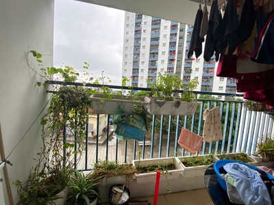 Chính chủ bán căn hộ chung cư 77m2 khu đô thị Thanh Hà Cienco 5 chỉ 2,7 tỷ 4