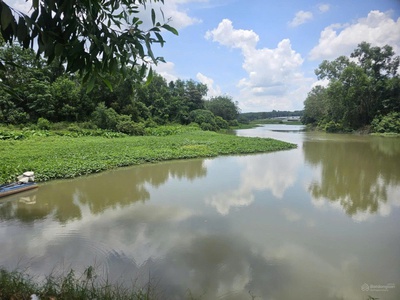 Chính chủ bán 5592m2 đất mặt tiền đt 748   view sông thị tính tại an điền, bến cát, bình dương 3