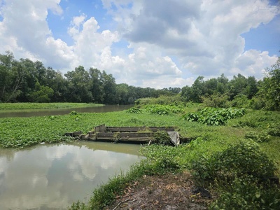 Chính chủ bán 5592m2 đất mặt tiền đt 748   view sông thị tính tại an điền, bến cát, bình dương 4