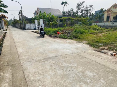 Mình là chính chủ cần bán lô đất của mình ở lai hạ, tân dân, an lão , hải phòng 0