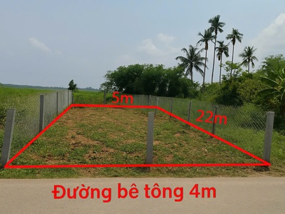 Chính chủ cần bán gấp đất thổ cư dt 110 m2, sẵn sổ tại đường quốc lộ 1a, xã bình trung, huyện thăng 0