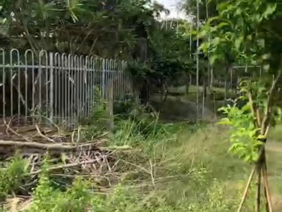 Chính chủ cần bán đất có vị trí đẹp đường an phước - huyện long điền -bà rịa vũng tàu 0