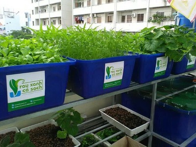 Thùng nhựa 500lit đa năng công dụng nuôi cá cảnh, trồng cây sân thượng 4