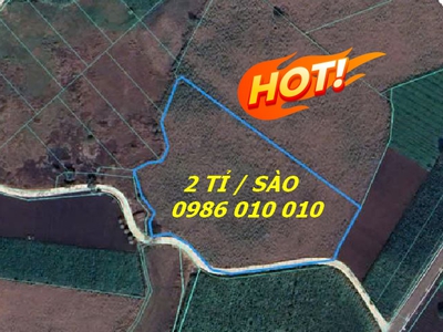 Bán đất 7.390m2 xã Láng dài, Bà Rịa Vũng Tàu 0