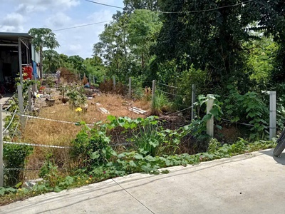 Siêu phẩm lô đất . đẹp - chính chủ bán- giá tốt -  2