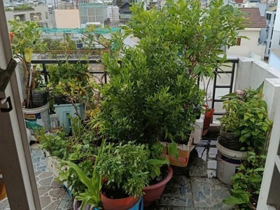 Nguyễn tiểu la q10- vị trí đẹp, hxh đỗ cửa - nhà 5 tầng thiết kế hiện đại vào ở ngay - hơn 7 tỷ 4