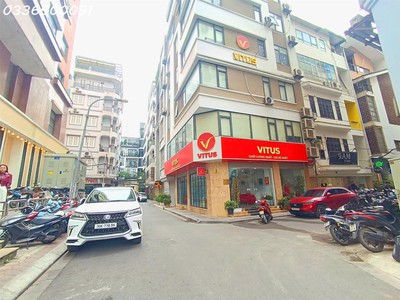 Phân lô vip nguyên hồng, ô tô   vỉa hè, cho thuê 25 tr/tháng. 52m  x 5t   19 tỷ 0