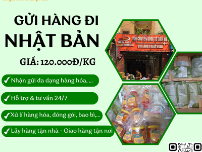 Gửi hàng đi Nhật Bản - Tiến Việt Express 0