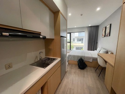 Cho thuê căn hộ 1 ngủ Studio  35m2  Waterfront City. 2