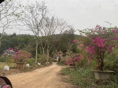 Bán 18858.8m2 đất nghỉ dưỡng view đẹp Thanh Thủy, Phú Thọ. Giá 1tr/m2 1