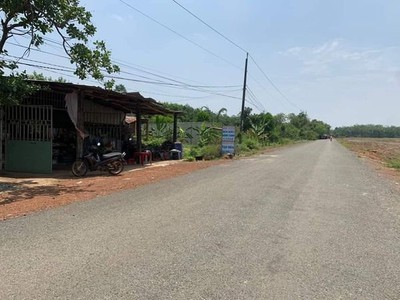 Bán đất chơn thành   Ngay chợ MINH LẬP CHỈ 485 TRIỆU 0