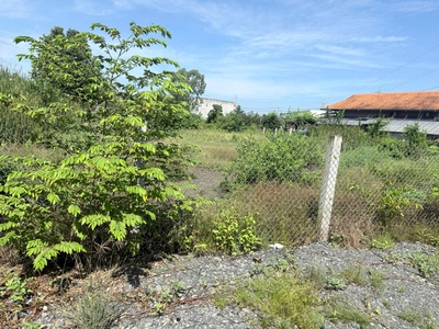 Sở hữu lô đất diện tích 1800m2 đất thổ ở đô thị  odt 4