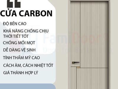 Cửa gỗ carbon melamine 2