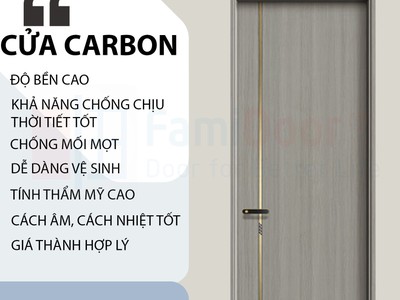 Cửa gỗ carbon melamine 3