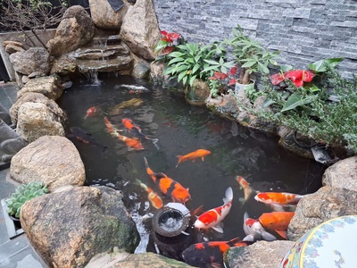 Bán nhà siêu phẩm nguyễn văn linh   6 tầng thang máy   full nội thất cao cấp   bể koi, vườn rau 2