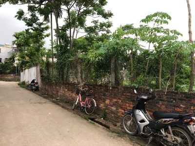 Chính chủ bán lô đất fo 43,5m tại đại yên-chương mỹ-hà nội 1