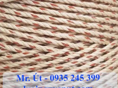 Dây bô thái lan 3 con gà 4