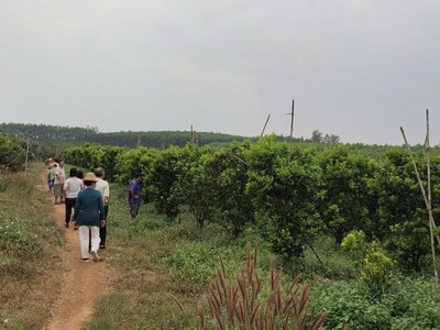 Bán 7ha- Đất đang trồng cam, chanh, bưởi , thu hoạch được 4 mùa- gần Hồ Thuỷ Điện Trị An - Đồng Nai 0