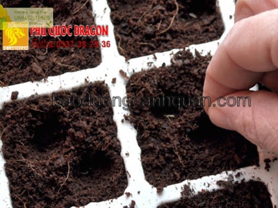 Đất màu trồng cây, đất đỏ giá rẻ 0