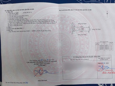 Tuyến 2 Đường 203, Ngay Chợ Hoa Động, Đường Thông 0