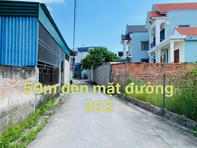 Tuyến 2 Đường 203, Ngay Chợ Hoa Động, Đường Thông 1