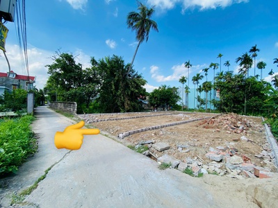 Tuyến 2 Đường 203, Ngay Chợ Hoa Động, Đường Thông 2