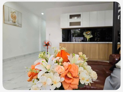 Bán tòa căn hộ 5 tầng, sau mặt tiền đường phan tứ, trục đường ẩm thực và phố tây đi bộ. 4