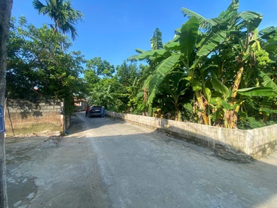 Hàng fo dành cho nhà đầu tư phân lô 486m tại thủy xuân tiên-chương mỹ-hà nội 1