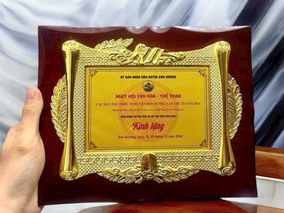 Biểu trưng vinh danh, biểu trưng gỗ đồng, bảng vinh danh gỗ đồng 3