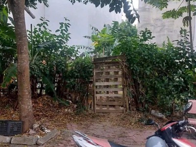 Bán lô đất nhà vườn mặt phố Trần Khắc Chung, KĐT Tuệ Tĩnh, Tây HP, 95m2, mt 5m, 5.x tỷ 1