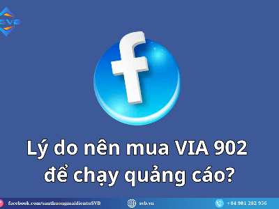 Mua VIA 902 giá tốt, bảng giá cập nhật mới nhất 2025 2