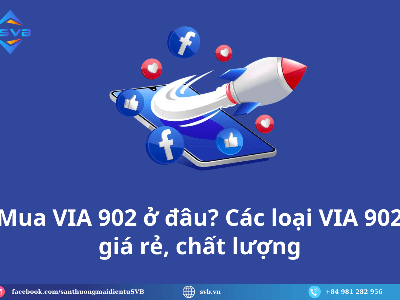 Mua VIA 902 giá tốt, bảng giá cập nhật mới nhất 2025 4
