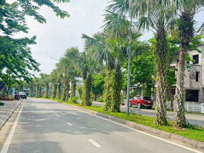Bán biệt thự khu Ecoriver Hải Dương, tiềm năng cực tốt. 1