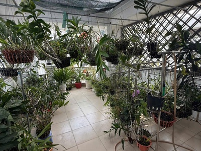 B.án Nhà Hẻm Xe Hơi, Lê Trọng Tấn 56 m2, 5 Tầng, 5 pn, 5 wc, Tây Thạnh, Tân Phú 0