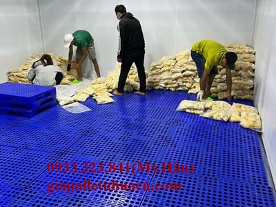 Sỉ lẻ Pallet Nhựa Giá Rẻ Tại Thuận An 8