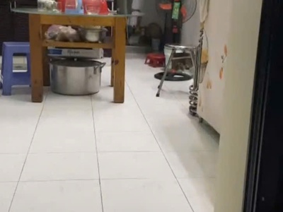 Bán gấp nhà mặt tiền kinh doanh lê niệm tân phú 154m2 ngang 8 hiếm 5 tầng  nhỉnh 20 tỷ 2