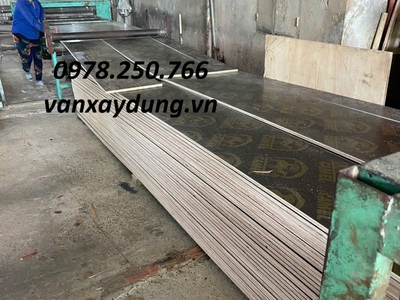 Tìm đại lý phân phối ván phim dài 4m Camel tại TPHCM, Bà Rịa - Vũng Tàu, Bình Dương 1