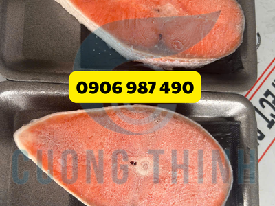 Máy bọc màng co tự động 450L - 4020L hàng nhập khẩu 1