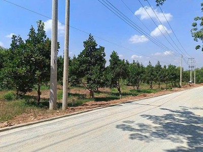 Bán đất giá rẻ   mặt đường nhựa 2