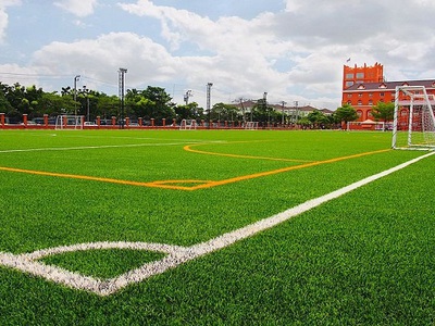 Cỏ Nhung Nhật   Lựa Chọn Cao Cấp Cho Sân Vườn Đẹp Hoàn Hảo 0
