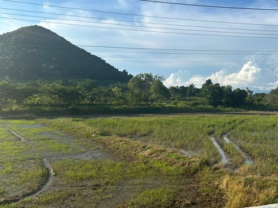 Bán 27.5m x 32m đất mặt tiền nguyễn minh châu - tân hải - lagi giá ngộp 66tr/m ngang 1