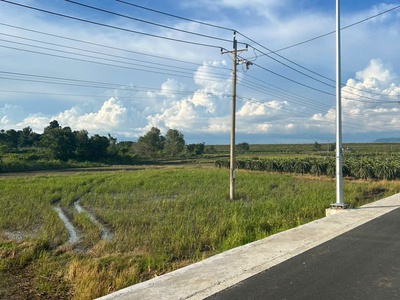 Bán 27.5m x 32m đất mặt tiền nguyễn minh châu - tân hải - lagi giá ngộp 66tr/m ngang 4