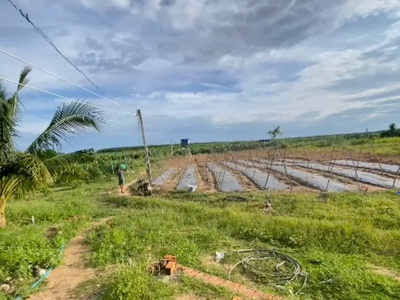 Bán 2.4 hecta đất tân hải - tx lagi giá ngộp 120  triệu/ sào 1
