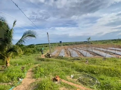 Bán 2.4 hecta đất tân hải - tx lagi giá ngộp 120  triệu/ sào 2