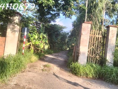 Mua gia tài 0 đồng là có thật 2