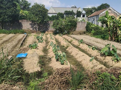 Bán đất lương tài, bắc ninh. 93m2   mt 5m   1,25 tỷ. ô tô vào đất. 1