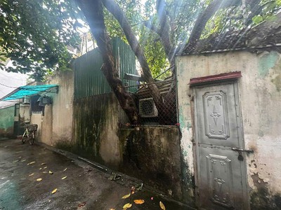 55m    ngọc thụy   lô góc   ô tô thông   kinh doanh   giá 8.55 tỷ  tách thửa 1