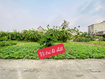 Bán lô đất hiếm tại Lâm Động   Thủy Nguyên 0